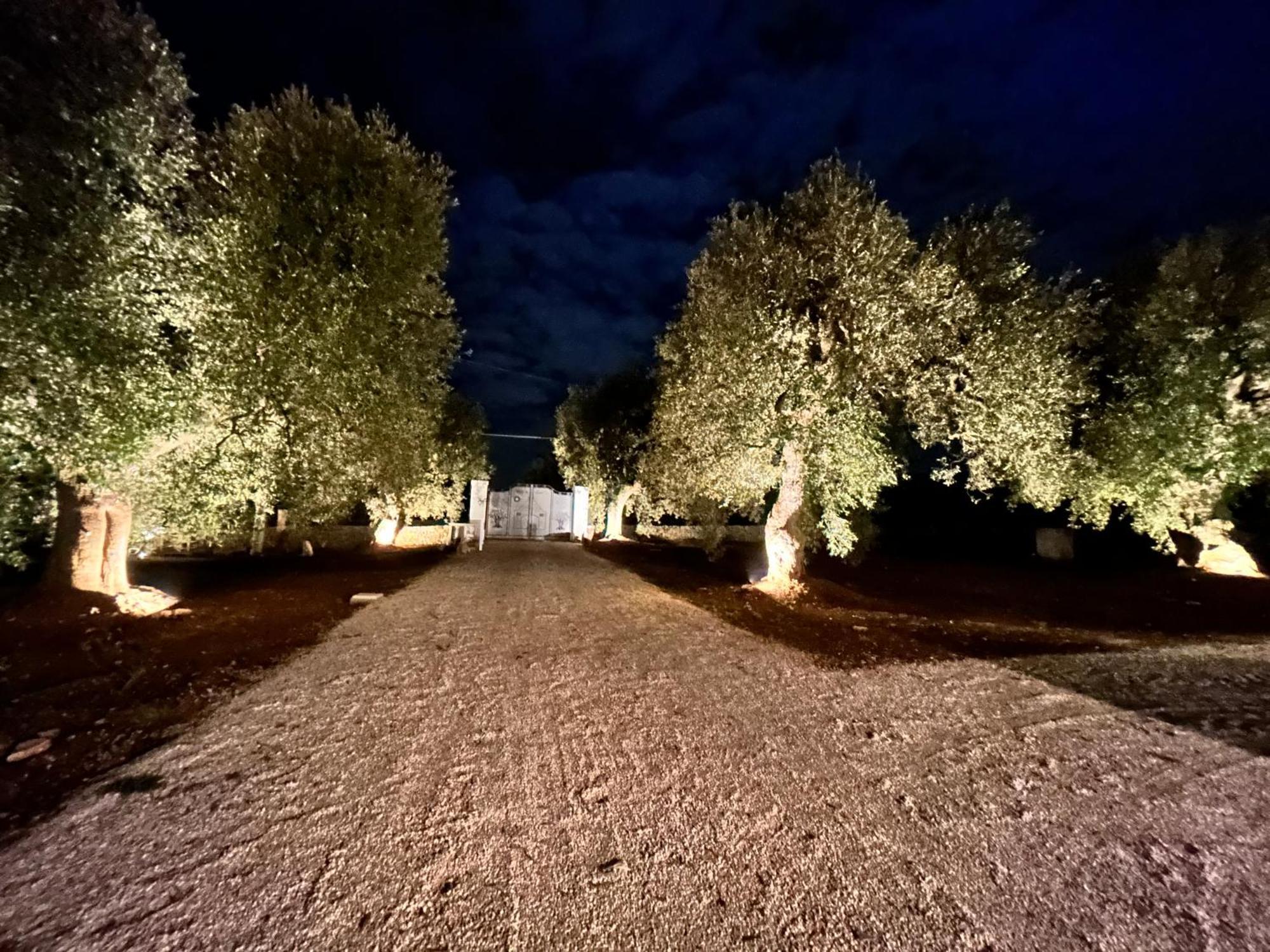Il Trullo Di Bina Bed and Breakfast Pezze Di Greco Exteriör bild